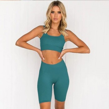 Seamless Yoga Set Workout Clothes For Women Ribbed Gym Set 2 Piece Sport Set Women Sports Bras Yoga Shorts